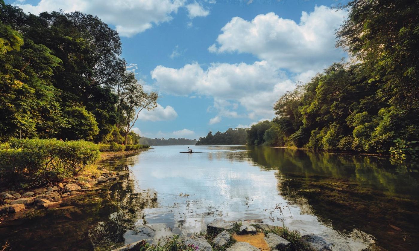 MacRitchie Reservoir near Thomson Reserve